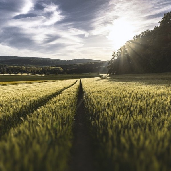 Parte I. Convivir con la contaminación virtual: el nuevo reto del sector agrícola