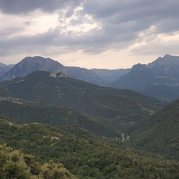 ASAJA ARAGÓN traslada la ALARMA SOCIAL por la presencia del  “oso asesino” Goiat  en el Pirineo