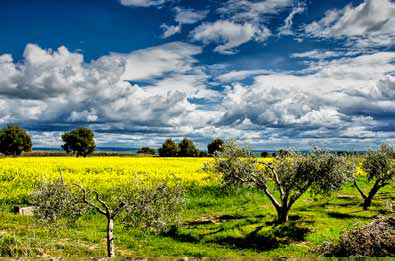 CONCURSO DE FOTOGRAFÍA 2018: “PAISAJES DE NUESTRO MUNDO RURAL”