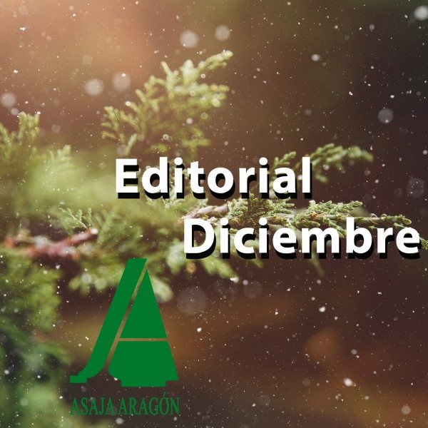 Editorial Diciembre: El Cambio Climático en Navidad