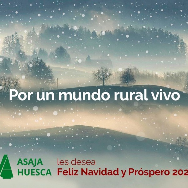 ¡Feliz Navidad y Próspero Año 2020!