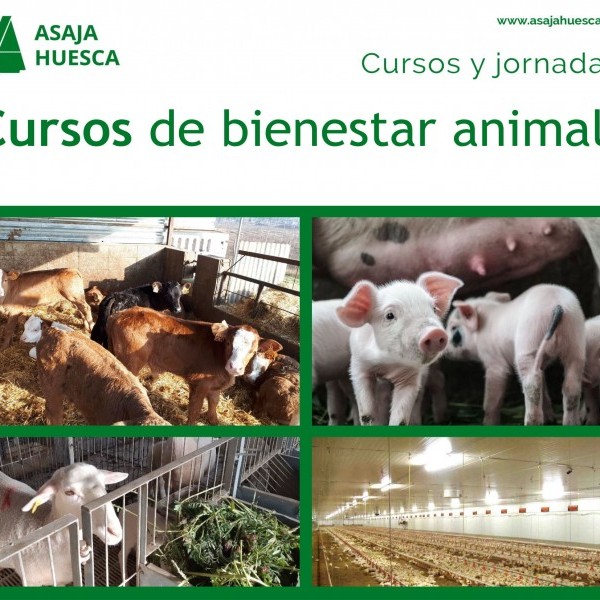 Nuevos cursos de bienestar animal en Huesca y Barbastro