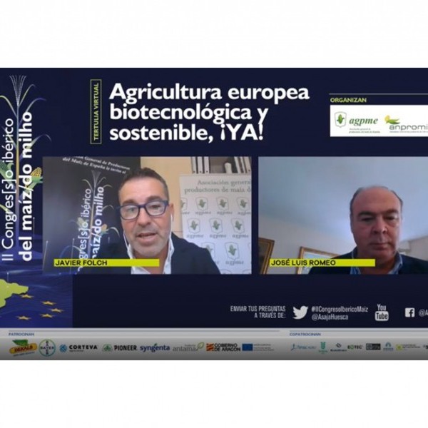Biotecnología europea en maíz, 20 años de experiencia y 20 de retraso frente al resto del mundo