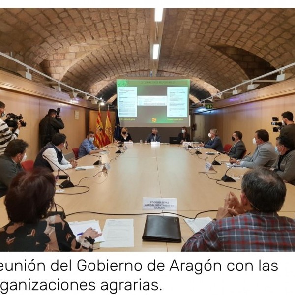 Medidas excepcionales en relación con la campaña agrícola 2021 para hacer frente a la crisis