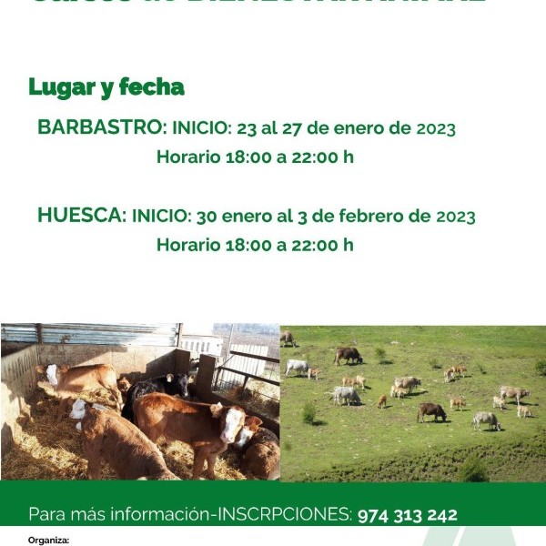 Cursos de BIENESTAR ANIMAL