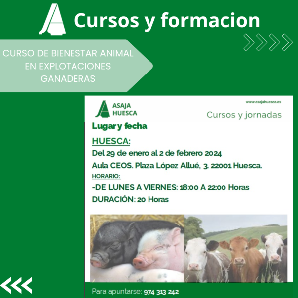 Curso de Bienestar Animal en Explotaciones Ganaredas