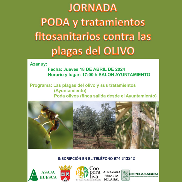 Jornada de Poda y Tratamientos Fitosanitarios del Olivo en Azanuy