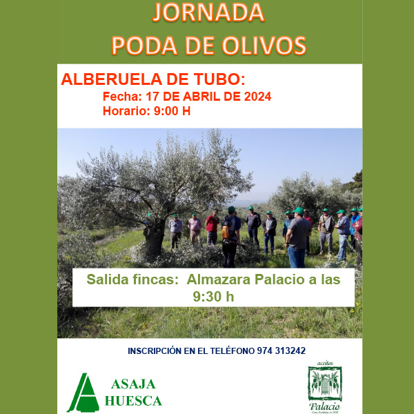 Jornada de Poda y Tratamientos Fitosanitarios del Olivo en Alberuela de Tubo