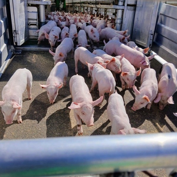 ASAJA Aragón denuncia la notable subida de los costes del seguro agrario
