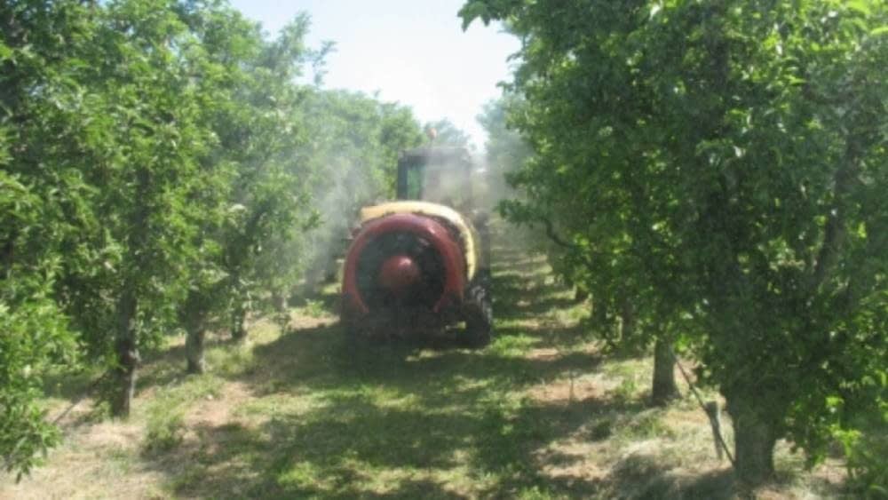 Renovación del carné de aplicador de productos fitosanitarios
